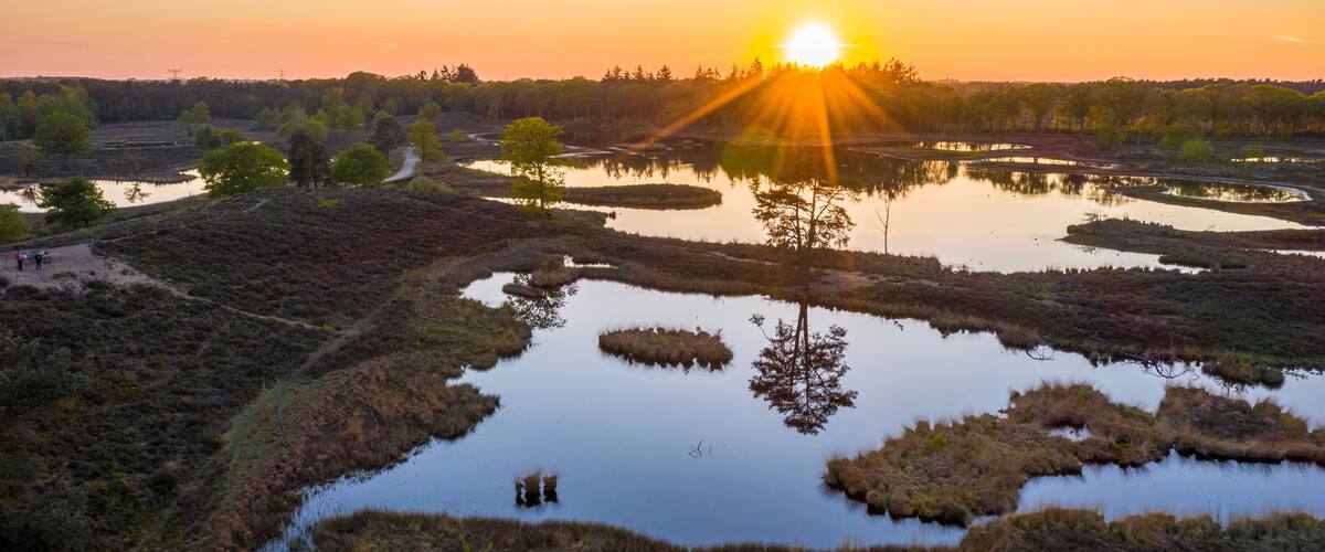 Aerial sunset photo of Hatertse Vennen nature reserve. Located in Heumen, Wijchen, Overasselt, Gelderlands, The Netherlands. The trees reflect in the water