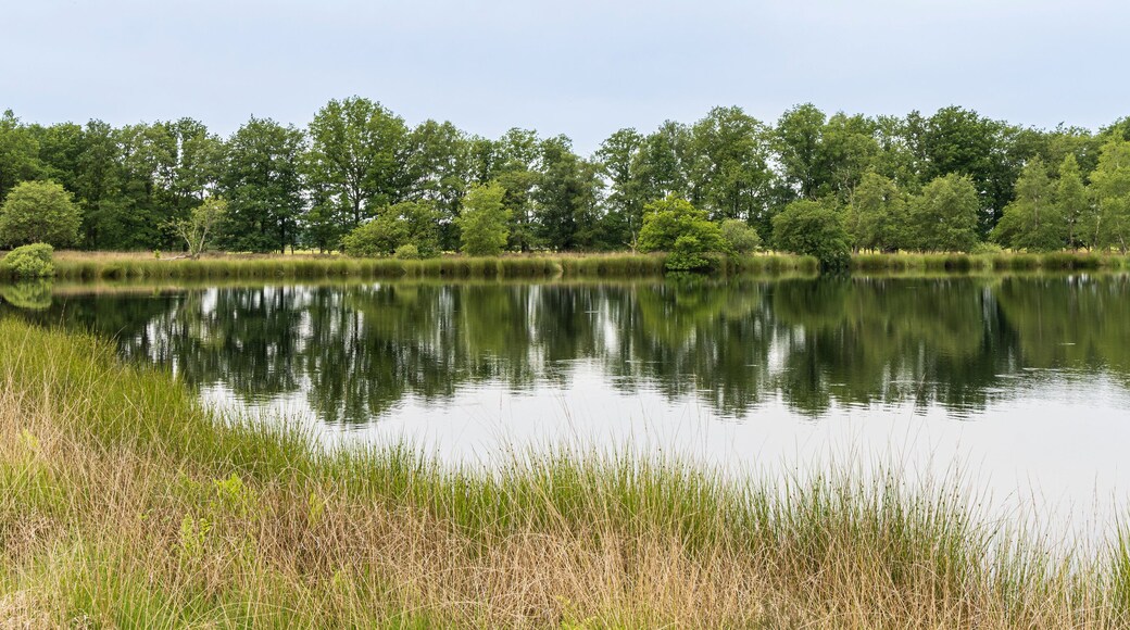 Commune de Midden-Drenthe