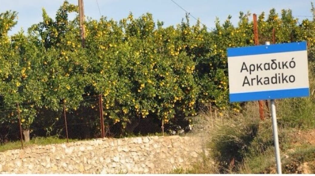 The orange groves entering Arkadiko in the Peloponnese.