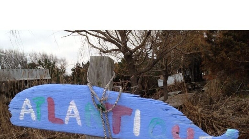 And the whale still stands