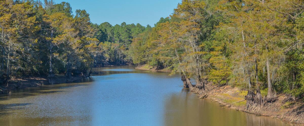 A scenic river flowing in Webster Parish in Louisiana