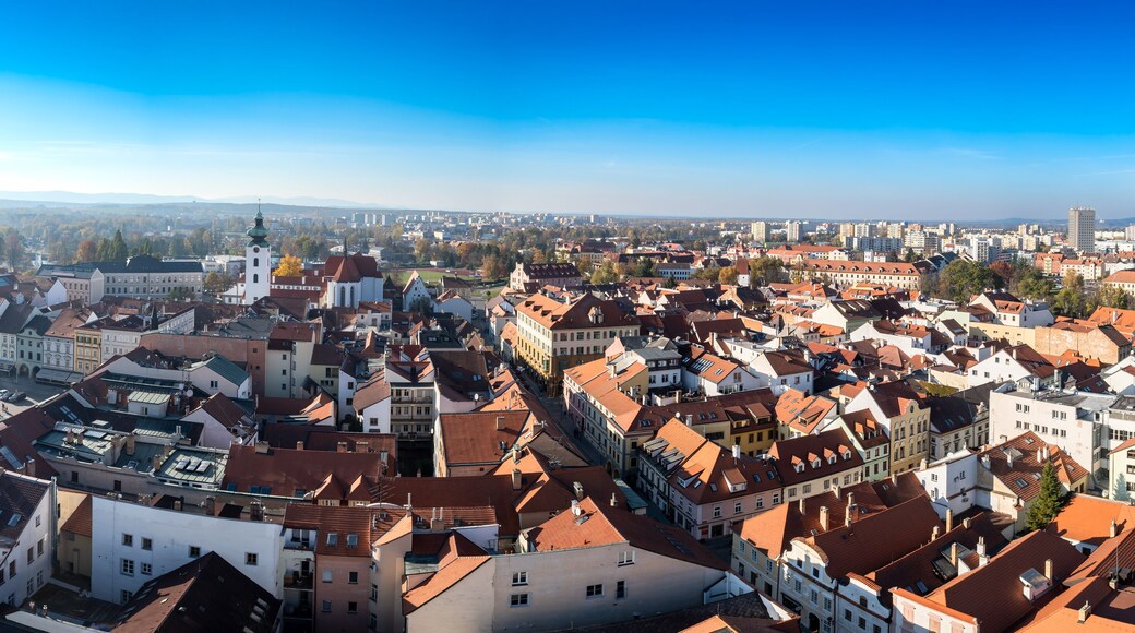 Rooftops Of The City Of Budweis (Ceske Budejovice) In The Czech Republic