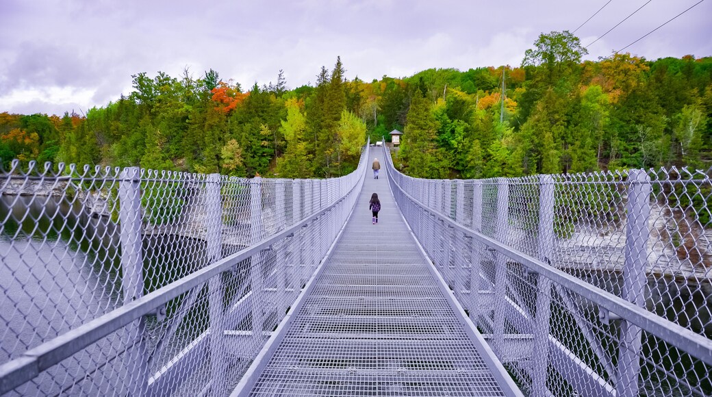People walking in suspension bridge over the river