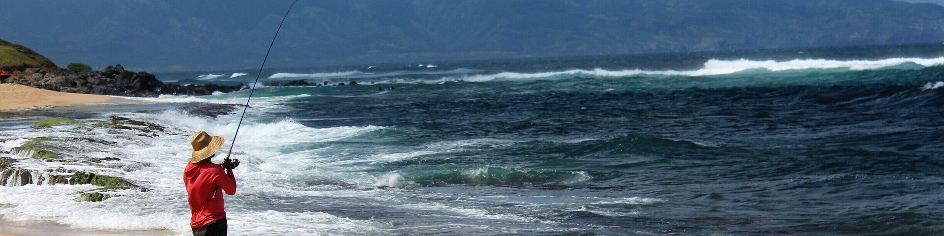 I didn't see him catch anything, but he looked good.