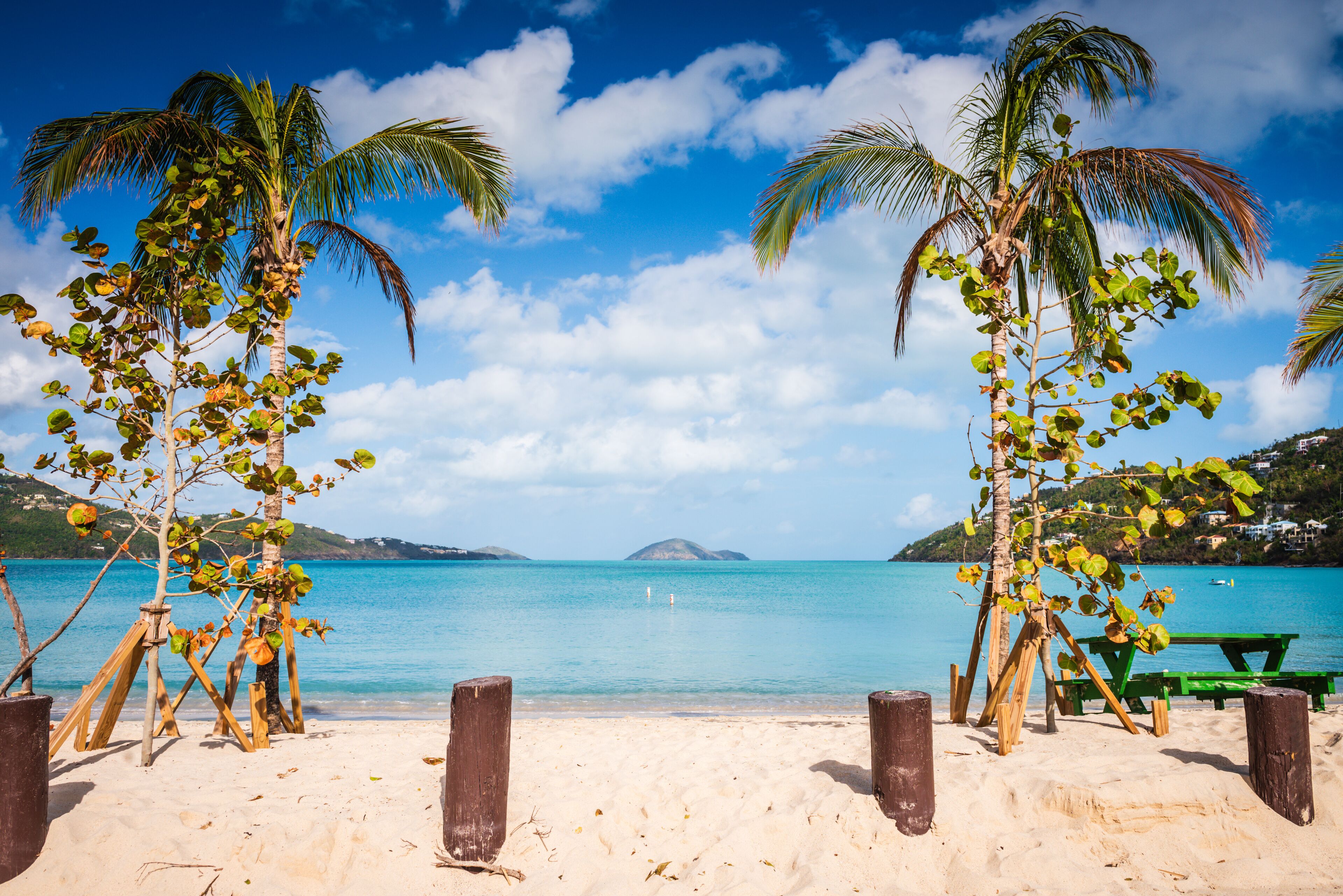 A beach with palm trees and a picnic table.