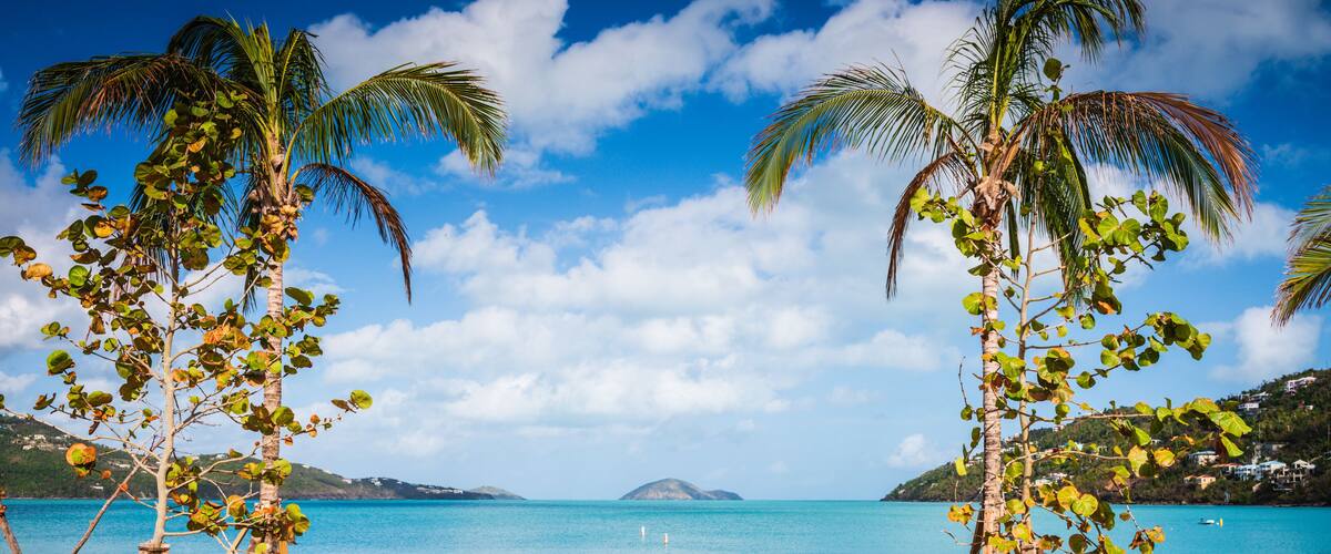 A beach with palm trees and a picnic table.