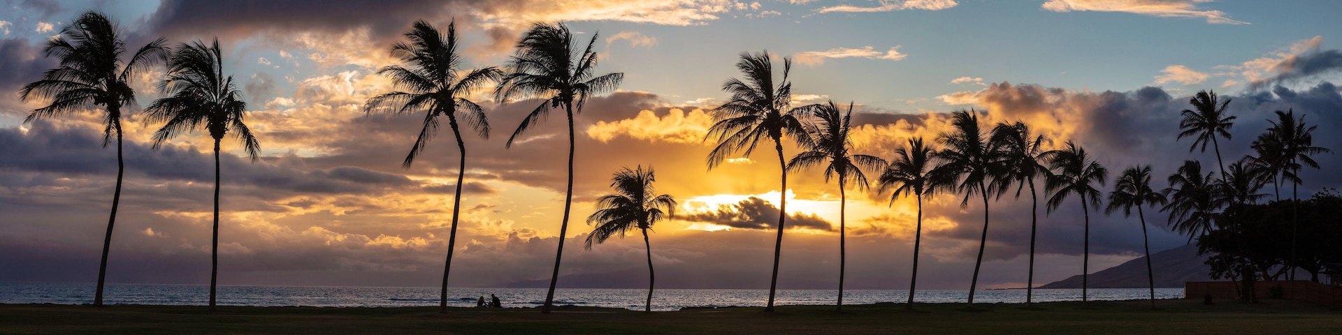 A row of tall palm trees stands silhouetted against a vibrant sunset from Kalama Park in Kihei, on the island of Maui, Hawaii.