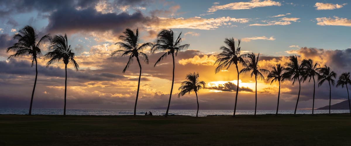 A beach with palm trees silhouetted against a sunset sky.