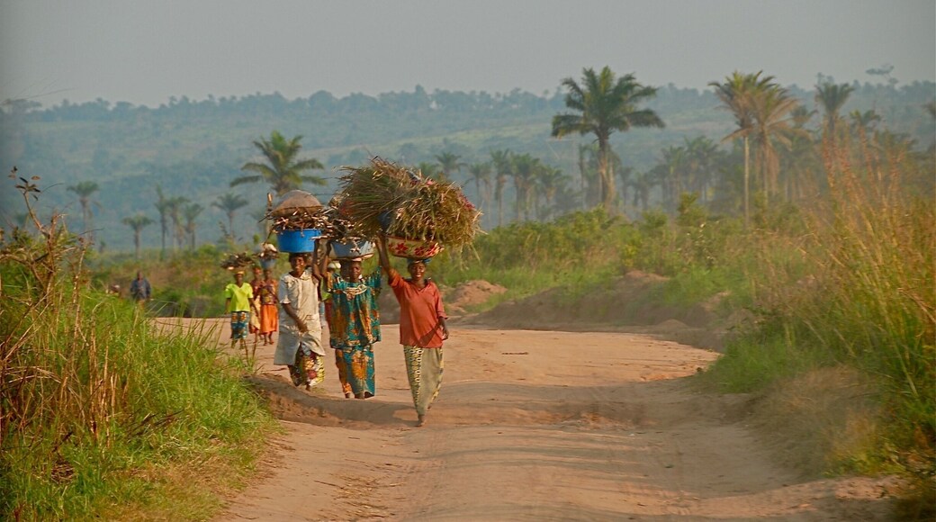 Roughly 500 miles from Kananga is the little village of Tshikaji, in the KasiaProvince..it is the land of diamonds, copper minds, jungles and lush savanna's.