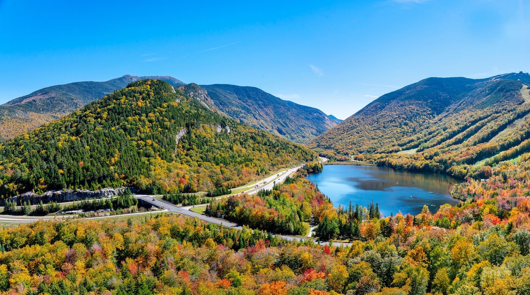 New England