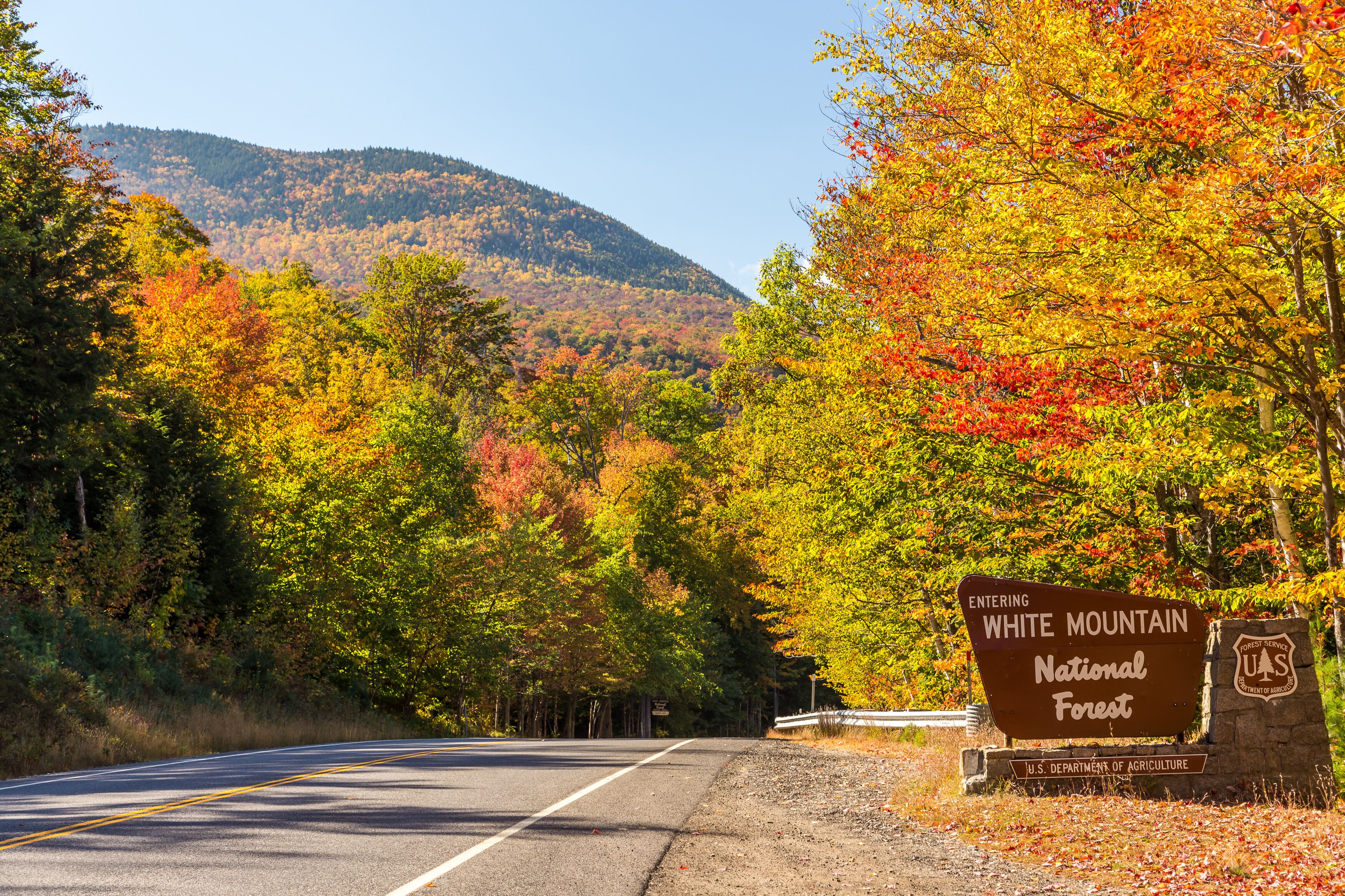 New England