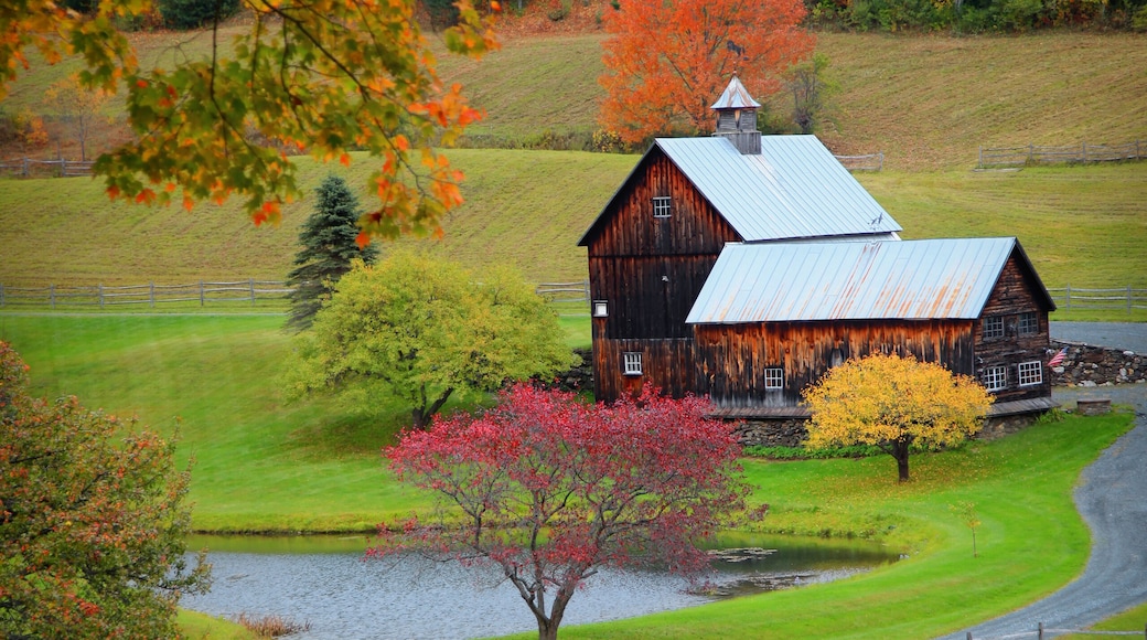 New England