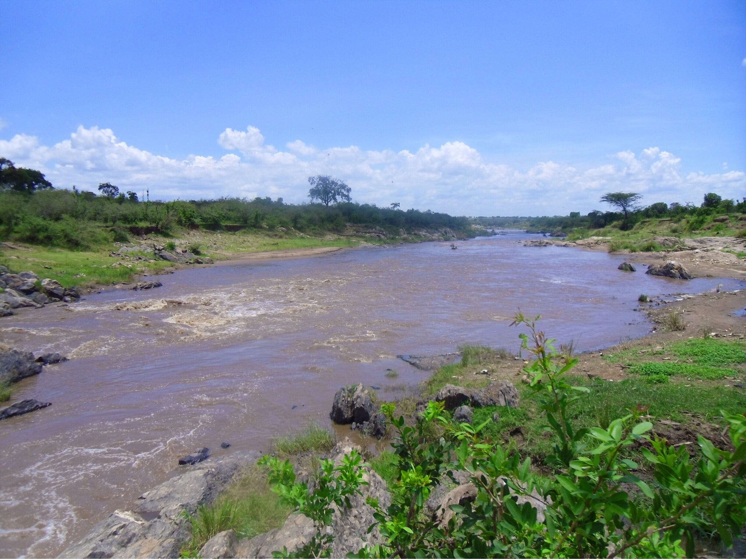 Mara river in the serengeti. Full of crocodiles and hippos. Absolutely loved safari.