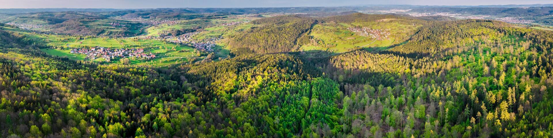 Hill with trees in swabian forest, Baden-Wuerttemberg, Germany