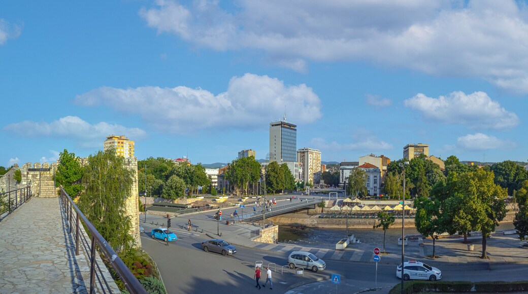 District de NiĆĄava