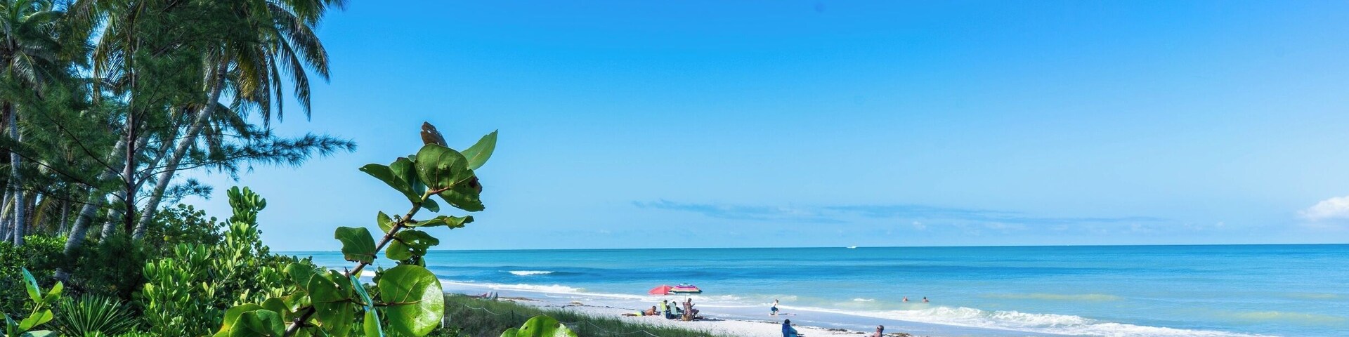 Uma praia com palmeiras e um céu azul límpido.