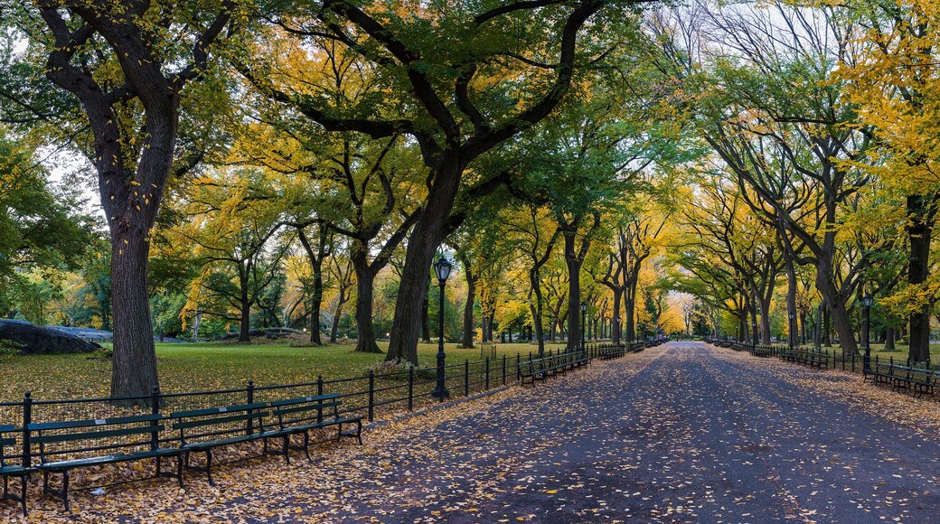 Panorama of The Mall in Central Park, New York on a beautiful Fall day
