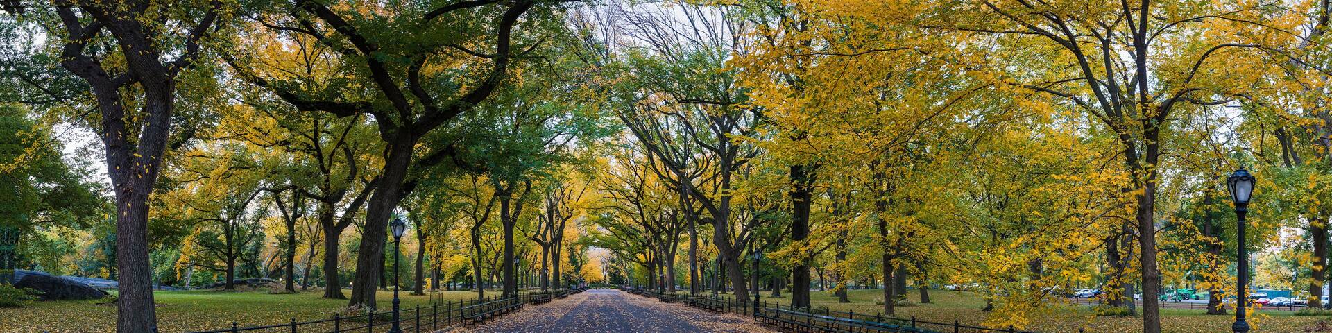 Panorama of The Mall in Central Park, New York on a beautiful Fall day