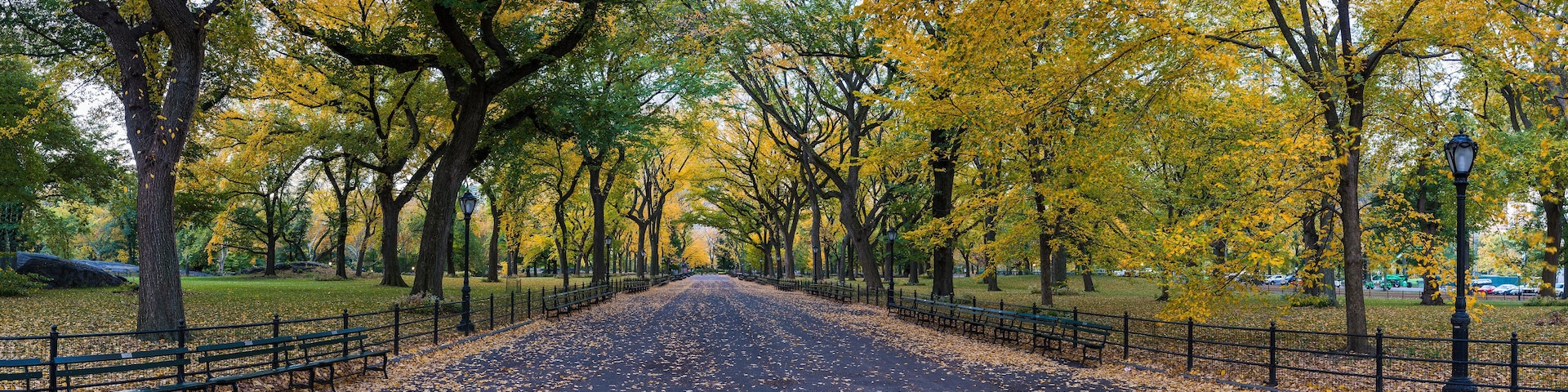 Panorama of The Mall in Central Park, New York on a beautiful Fall day