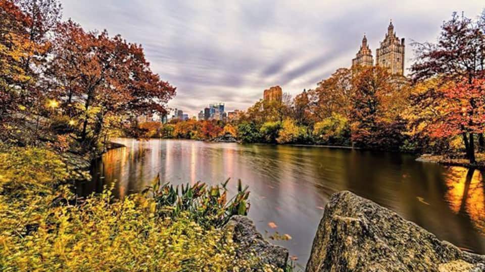 Central Park in the Fall is so pretty sometime you get lucky and you can get people rowing on the lake.
#waterlust