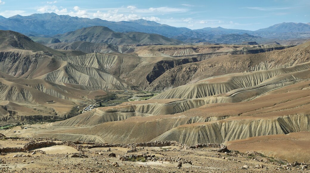 Provincia de Parinacota