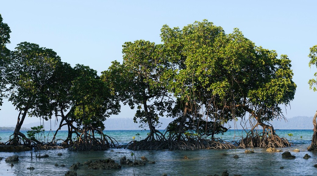 District de South Andaman