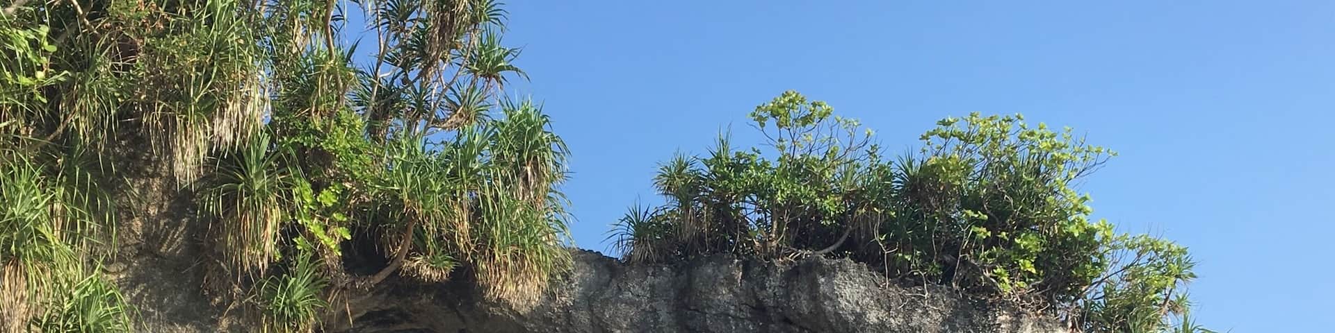 A natural rock arch formation with surrounding greenery.