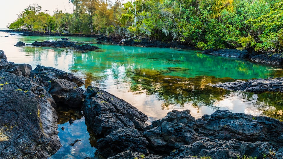 Clear Water and Lava Rock Shoreline, Carlsmith Beach Park, Hilo, Hawaii Island, Hawaii, USA