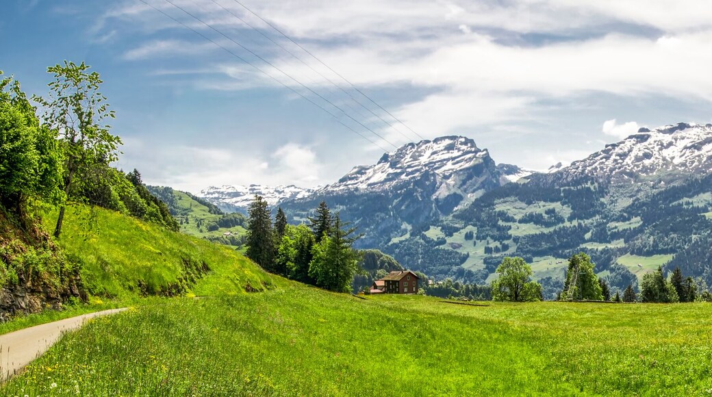 Stunning landscape panorama of Swiss Alps, Fronalpstock, Klingenstock and Chaiserstock near Illgau. Illgau is a village in Schwyz District in the canton of Schwyz in Switzerland, Europe