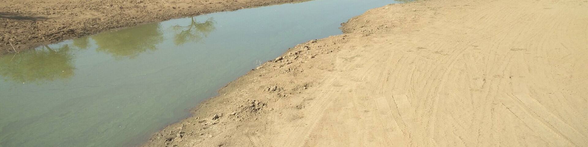 Amidst the dense forest ,so peaceful and free from city noise, searching for tigers.
#LifeAtExpedia