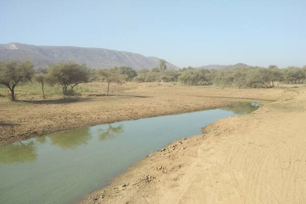 Amidst the dense forest ,so peaceful and free from city noise, searching for tigers.
#LifeAtExpedia