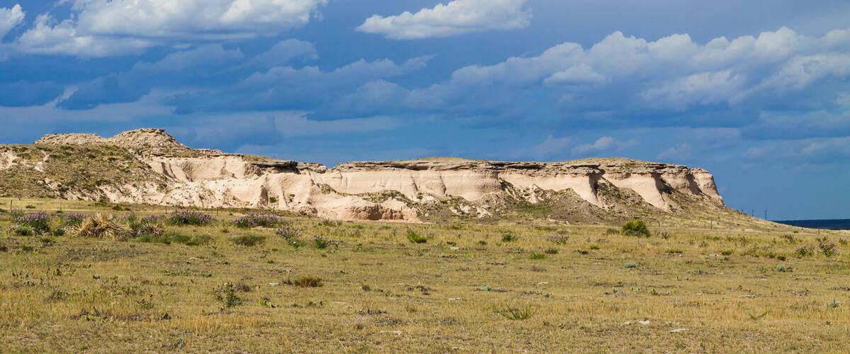 A rocky cliff with sparse vegetation in a grassy field under a partly cloudy sky.