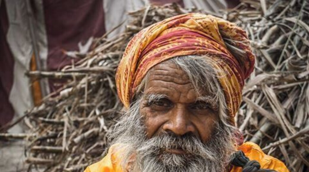 Sonepur Mela, a very large cattle market in Bihar. You can still get to see old India here.