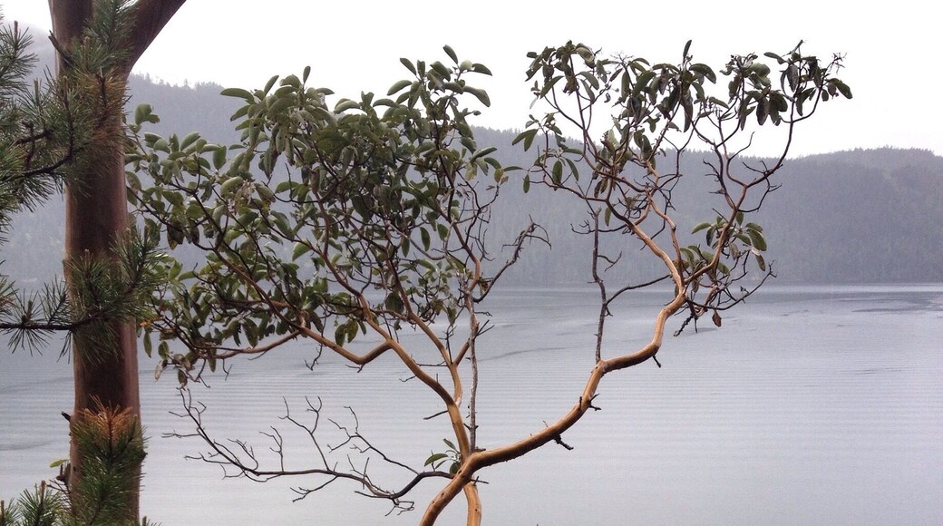 Top of the bluff above the dinghy dock.