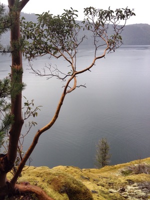 Top of the bluff above the dinghy dock.