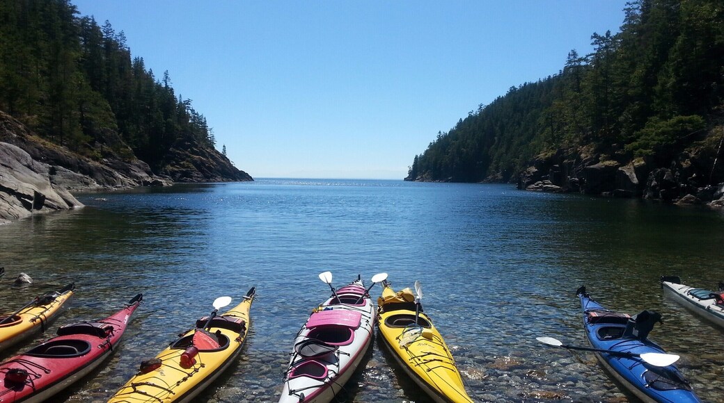 Nice little cove accessible only by sea with crystal clear water and seals.
#BeachBound
