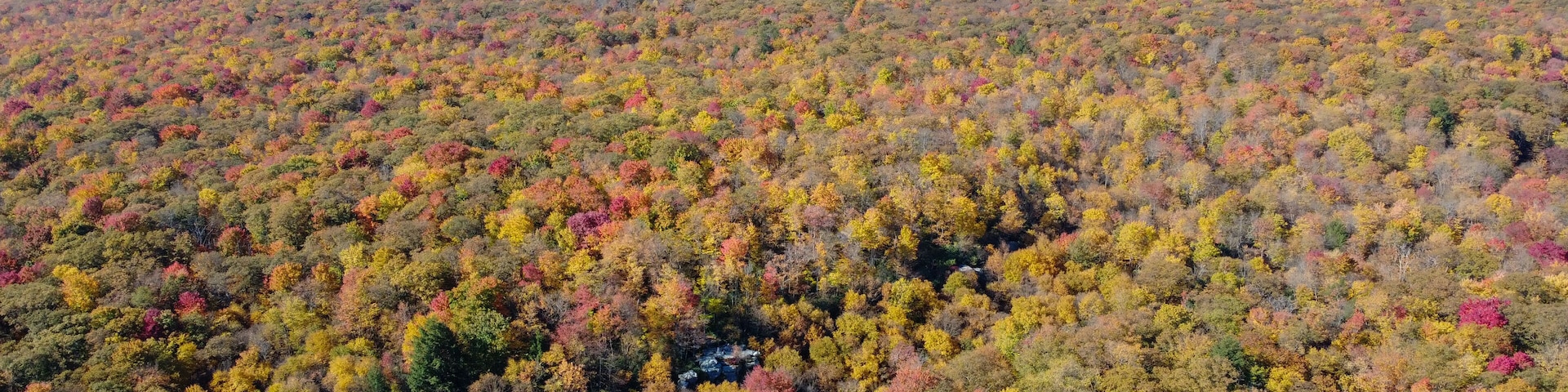 Fall colors surround Beams Rock at Linn Run State Park in Ligonier, Pennsylvania.