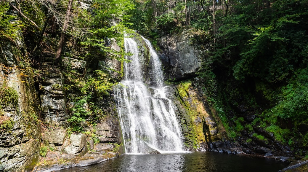 Delaware River-regionen
