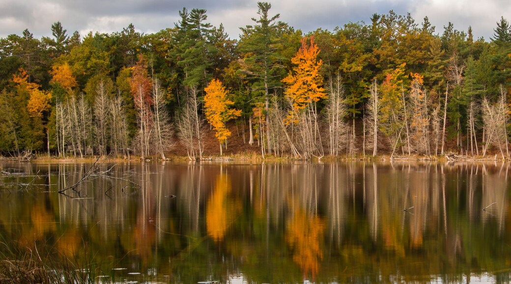 Nordvestlige Michigan