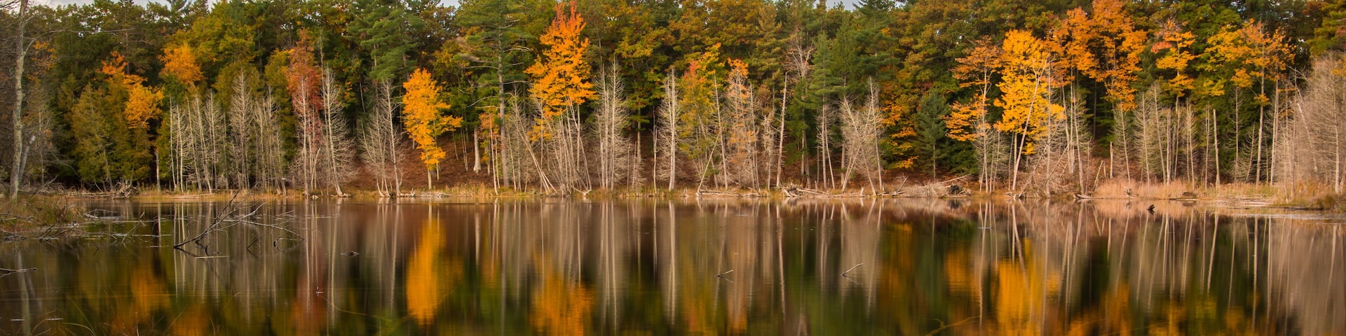 A calm lake surrounded by autumn-colored trees.