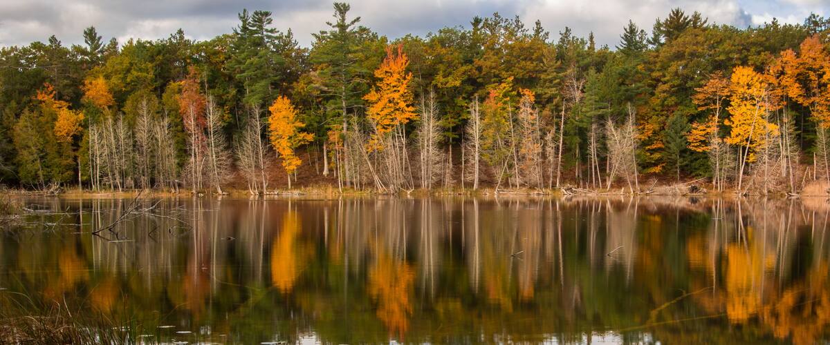 A calm lake surrounded by autumn-colored trees.