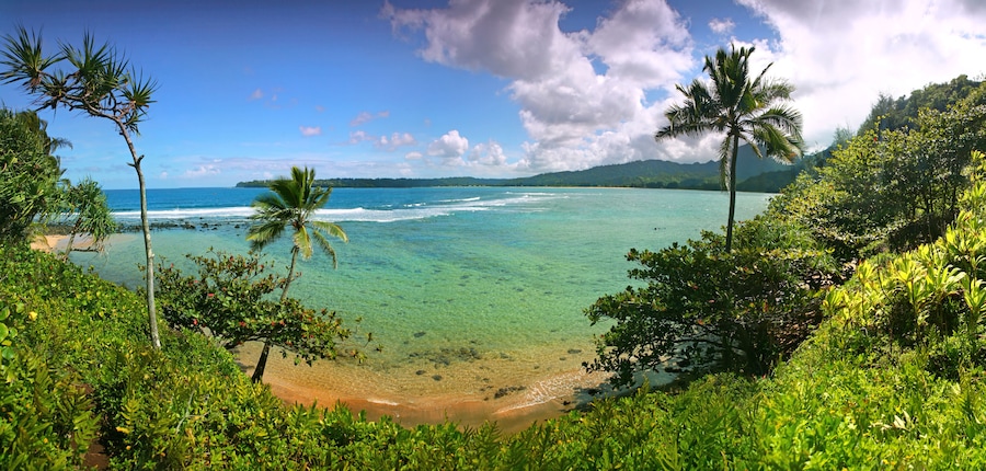 Paradise Beach in Kauai Hawaii With Turquoise Water and Palm Trees; Shutterstock ID 19328716; purchase_order: SP-1269 HA 2018 Batch 1; Order: ; client: ; other: