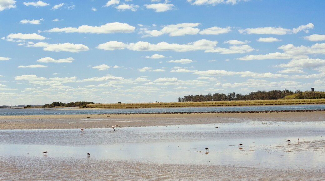 Partido de General Pinto
