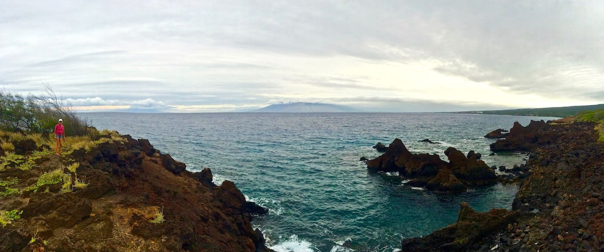 A coastal landscape with rocky cliffs, a body of water, and a distant mountain range under a cloudy sky.