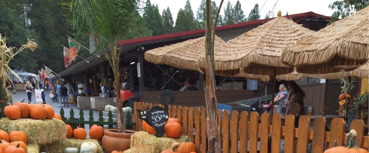 Visit Apple Hill.
More on www.ajauntwithjoy.com