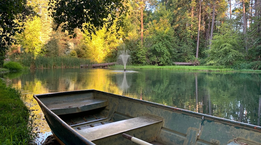 Every summer for the past 7 years close to our Anniversary, Lynn and I stay an extended weekend in the Placerville, California area located in the Sierra foothills. This year we stayed in the nearby Apple Hill. Apple Hill is renowned for its orchards, wineries, and farms. Although each farm has something different to offer, we enjoy the apple donuts and pies. Apple wines and beer are also available for tasting. This photo is on the farm we stayed this weekend. The farm grows Christmas Trees and has a wedding venue at this pond.