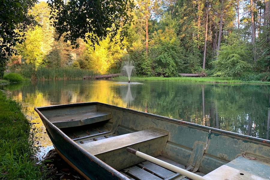 Every summer for the past 7 years close to our Anniversary, Lynn and I stay an extended weekend in the Placerville, California area located in the Sierra foothills. This year we stayed in the nearby Apple Hill. Apple Hill is renowned for its orchards, wineries, and farms. Although each farm has something different to offer, we enjoy the apple donuts and pies. Apple wines and beer are also available for tasting. This photo is on the farm we stayed this weekend. The farm grows Christmas Trees and has a wedding venue at this pond.