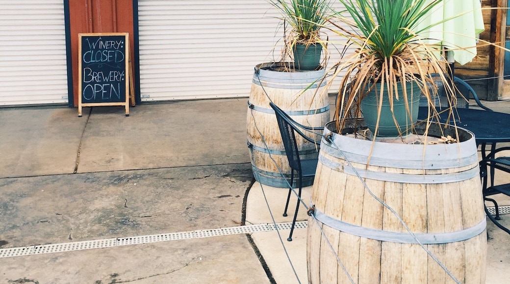 Beer, wine, and cider along with tastings and a cave. Visit Apple Hill.
More on www.ajauntwithjoy.com