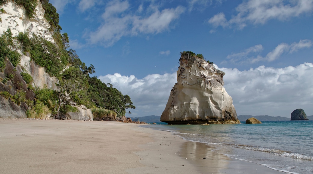Cathedral cove