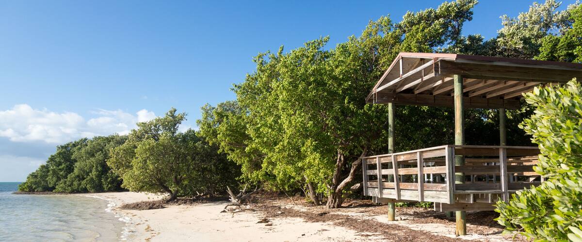 A beach with a wooden pavilion, clear blue sky, and dense green foliage.